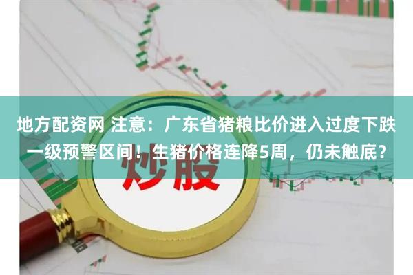 地方配资网 注意：广东省猪粮比价进入过度下跌一级预警区间！生猪价格连降5周，仍未触底？