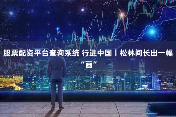 股票配资平台查询系统 行进中国丨松林间长出一幅“画”